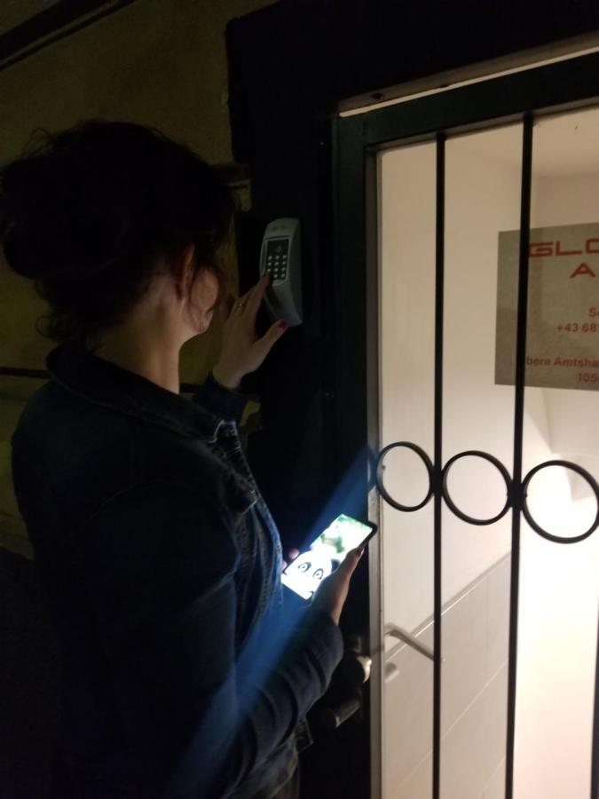 Global Apt Vienna Apartment Bilik gambar